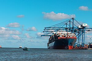 Container Ship at the Hai Phong International Container Terminal 01