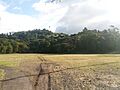 Cringila Community Park