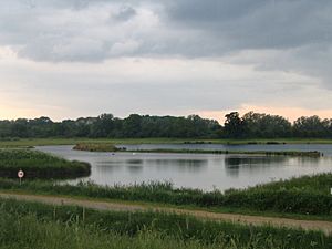 Deeping Lakes Nature Reserve - geograph.org.uk - 15628.jpg