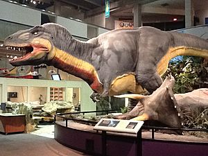 Dinosaur Diorama at Saint Louis Science Center