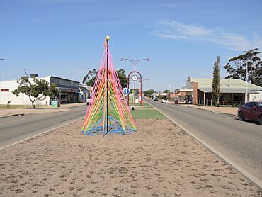 E37 Lake Grace (17 December 2019) 2.jpg
