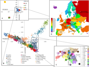 European genetic structure (based on SNPs) PC analysis