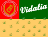 Flag of Vidalia, Georgia