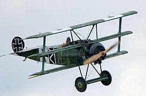 Fokker DR1 at Airpower11 18.jpg