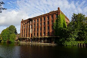 Former Mill overlooking Mexborough New Cut (geograph 5911892)