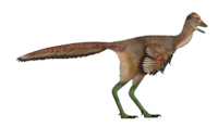 Fujianvenator.png