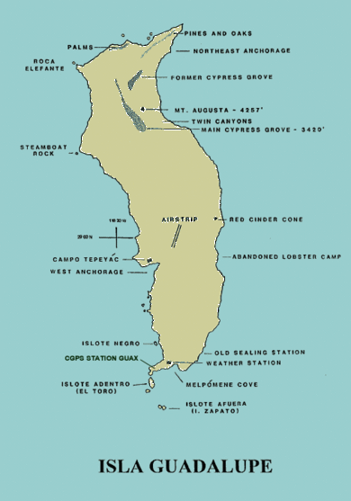 Guadalupe Island Map