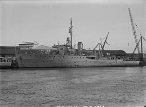 HMAS Junee by Allan Green SLV H91.108 2689