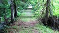 Hampton-plantation-rice-dike-sc1