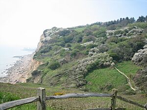 Hastings countrypark 2