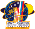ISS Yearlong mission patch
