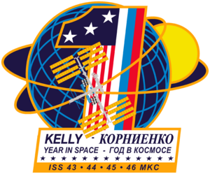 ISS Yearlong mission patch