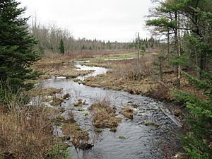 JohnsRiverCherryPondNH