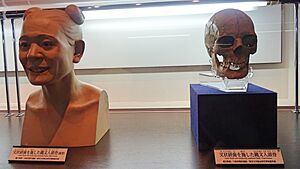 Jomon people Skull and Restoration model - Niigata Prefectural Museum of History