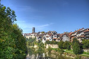 Kathedrale mit Saane Fribourg