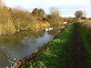 Kennet-And-Avon-Canal