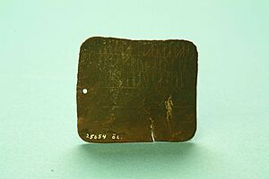 Kvinnebyamuletten 225526