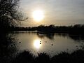 Late afternoon at Watermead - geograph.org.uk - 364049