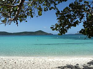 Lindquist Beach, St Thomas, 2013
