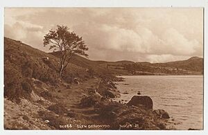 Llyn geirionydd sepia (2)