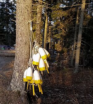Lobster buoys