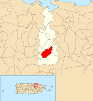 Location of Mamey within the municipality of Guaynabo shown in red