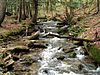 Minister Creek - Allegheny National Forest.JPG