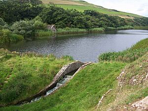 Mire Loch outflow 1