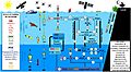 Monitoring the ocean biological carbon pump