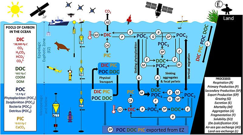 Monitoring the ocean biological carbon pump