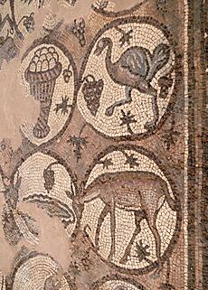 Mosaic of Byzantine Church of Petra 02