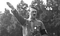 Nürnberg Reichsparteitag Hitler retouched (teapot-cropped)