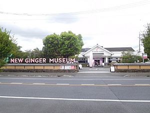New Ginger Museum