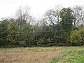 Oakley Wood 2