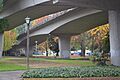 Occupy Eugene Under the Bridge (Eugene, Oregon)