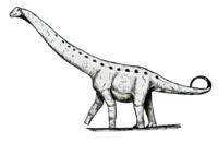 Overosaurus.png