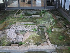 Parramatta Hospital Archaeological Site 1.jpg