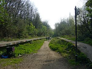 Railway Platforms on Parkland Walk