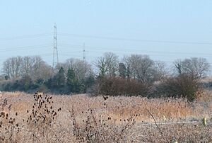 Rainham Marshes 30dec08