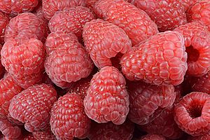 Raspberries (Rubus idaeus)