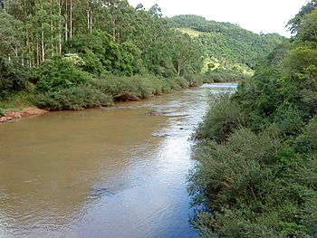 Rio Peperi-Guaçu - Vista Sul - panoramio.jpg