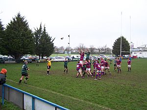 Rugby match,