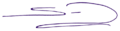 Santiago Peña signature