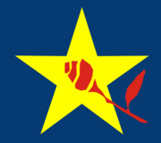 Sdsm logo staro