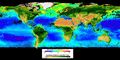 Seawifs global biosphere 2002
