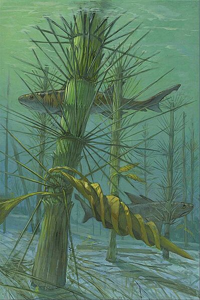 Sgff a 1907442 f0011 c