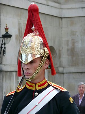 Soldier of Household Cavalry, London SW1 - geograph.org.uk - 2064239