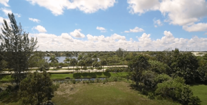 Southwest Ranches, Florida - with view of Sheridan Street.png