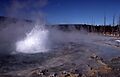 Spouter Geyser-Schmidt1977