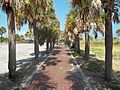 St. Petersburg FL Fort Desoto path01